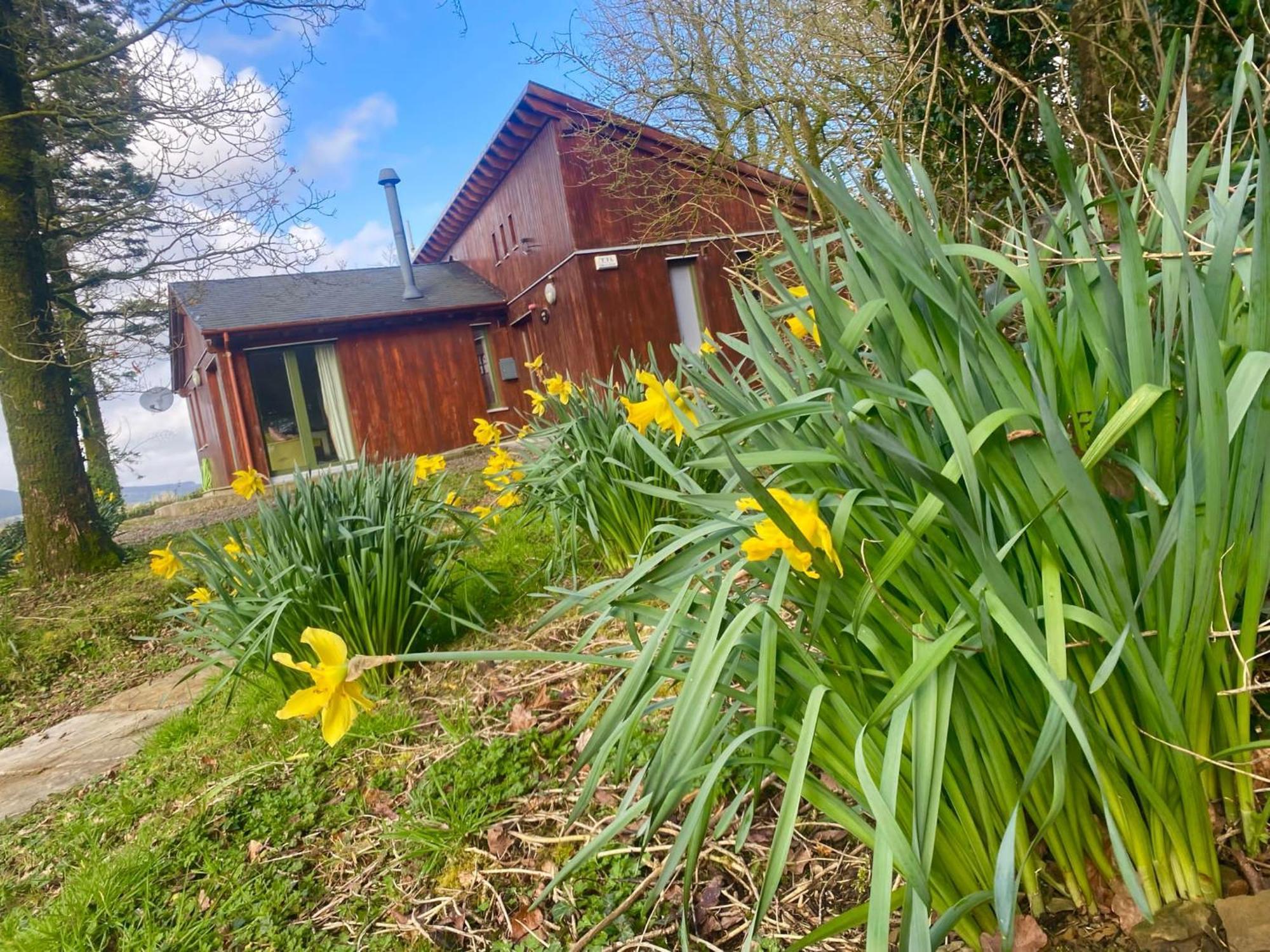 Ballyhoura Mountain Lodges Ballyorgan Exterior foto