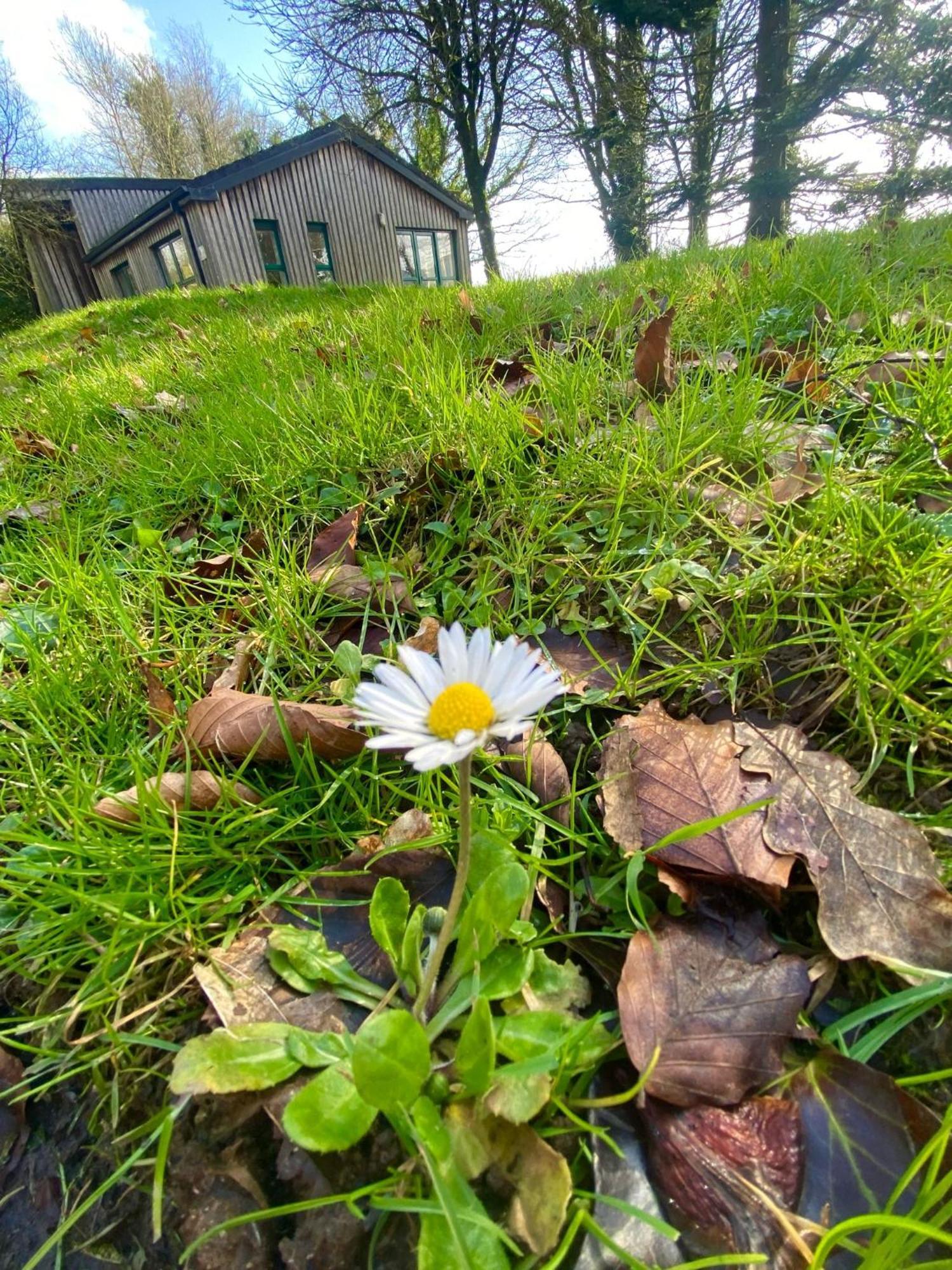Ballyhoura Mountain Lodges Ballyorgan Exterior foto