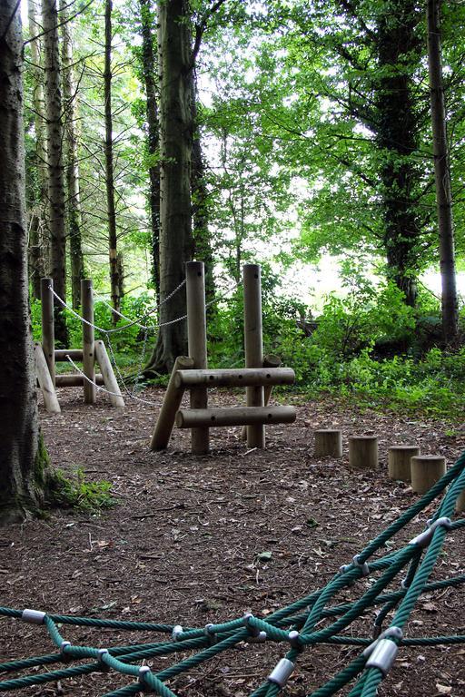 Ballyhoura Mountain Lodges Ballyorgan Cameră foto